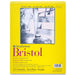 Strathmore Bristol Paper Pad, 300 Series, Tape-Bound, 20 Sheets, Smooth, 9" x 12"