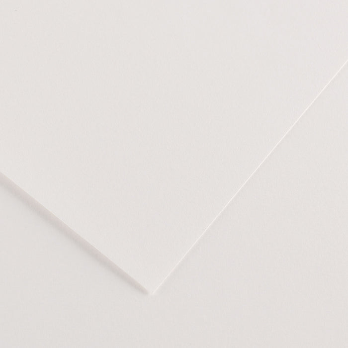 Canson Colorline Paper, 19" x 25", White, 10 Sheets/Pkg.