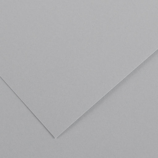 Canson Colorline Paper, 19" x 25", Light Gray, 10 Sheets/Pkg.