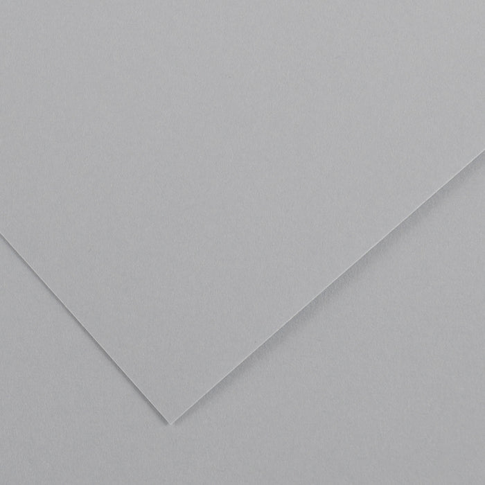 Canson Colorline Paper, 19" x 25", Light Gray, 10 Sheets/Pkg.