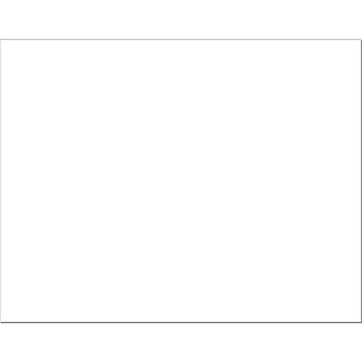 Pacon Bulk Poster Board, 22" x 28", White